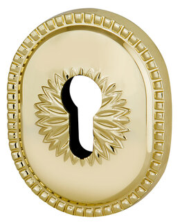 Декоративная накладка Armadillo (Армадилло) на цилиндр ET-DEC CL (ATC Protector 1) GP Золото