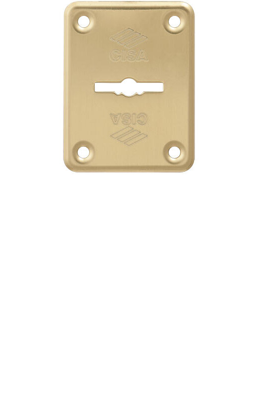 Накладка Cisa (Чиза) на сувальдный замок 06.082.00 (1 шт)